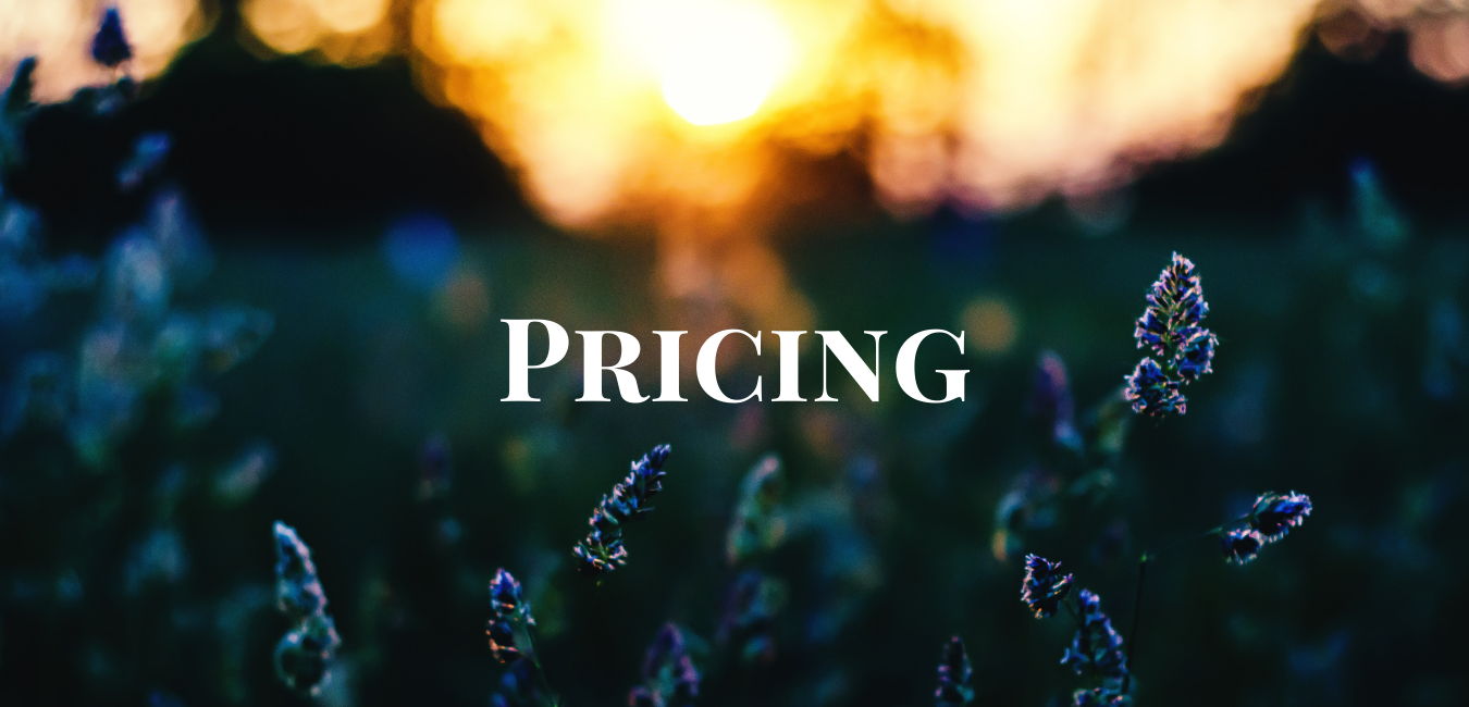 Pricing